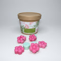 Wax Melts BAMBÚ Y FLOR DE CEREZO