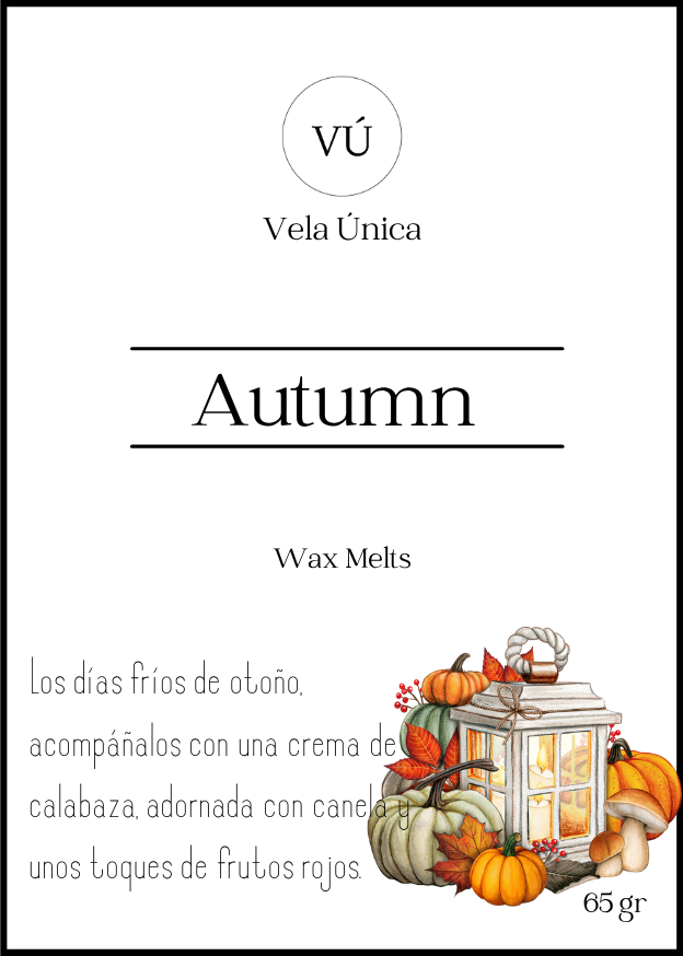 Wax Melts de VÚ: Un viatge a través de les aromes