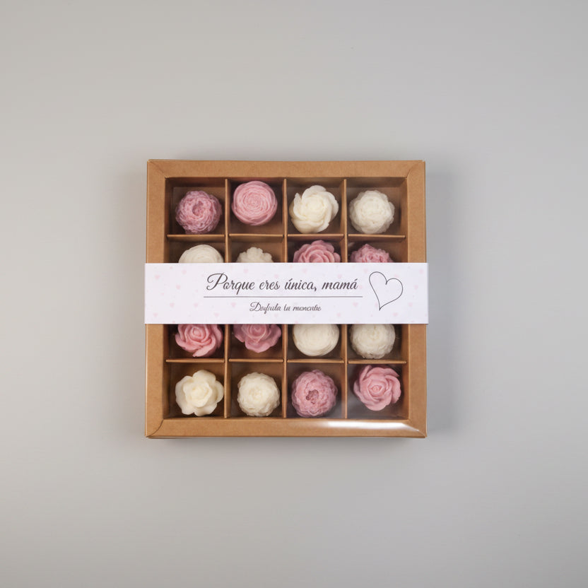 Wax Melts CAJA ESPECIAL