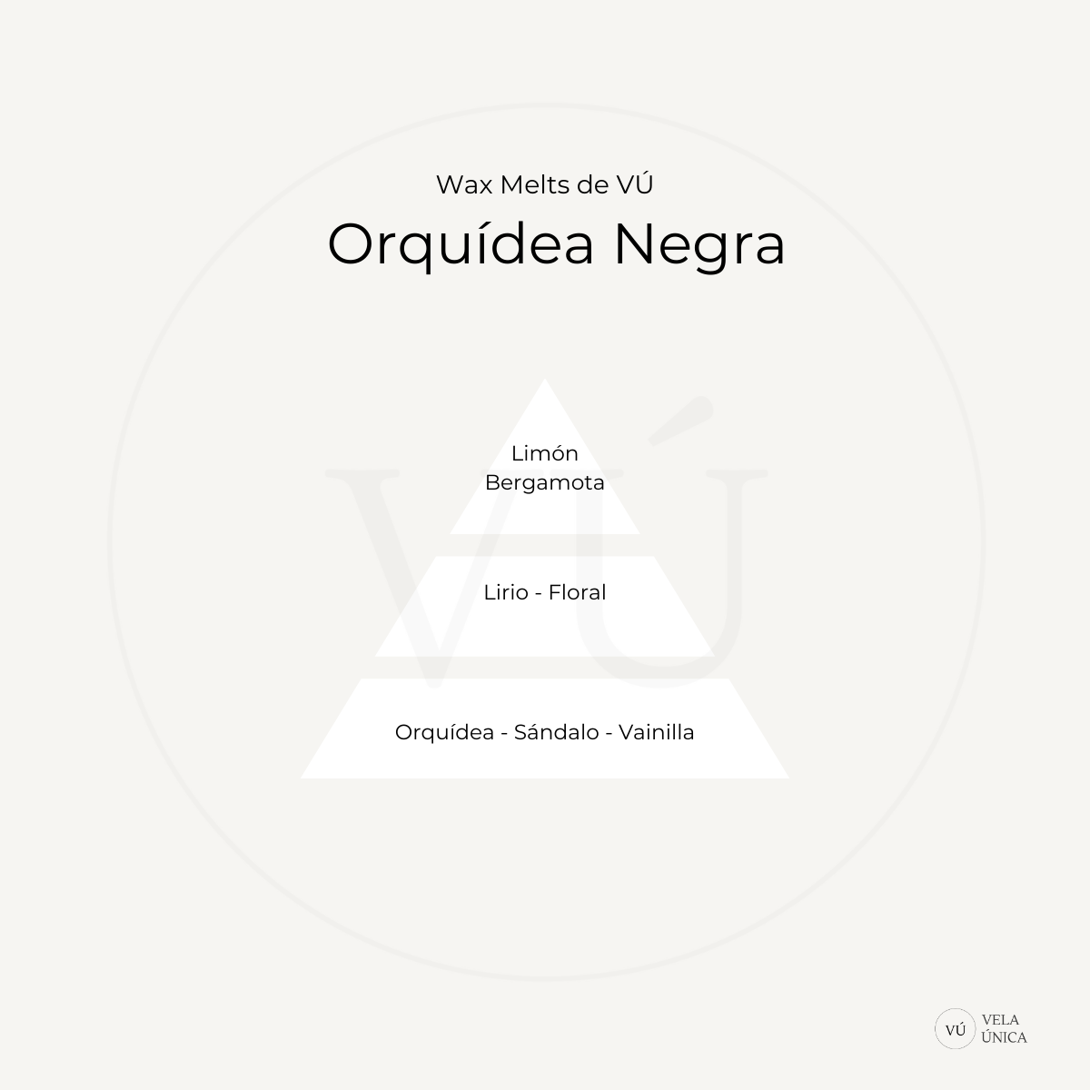 Orquídea Negra
